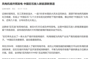 时报：风电机组并网发电 中国888集团驶入新能源新赛道